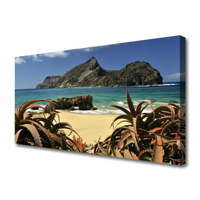 Leinwand-Bilder Strand Meer Felsen Landschaft