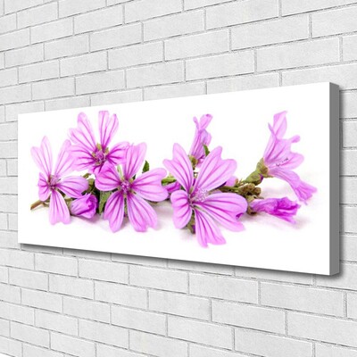 Leinwand-Bilder Blumen Pflanzen