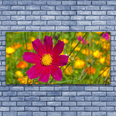 Leinwand-Bilder Blume Pflanzen