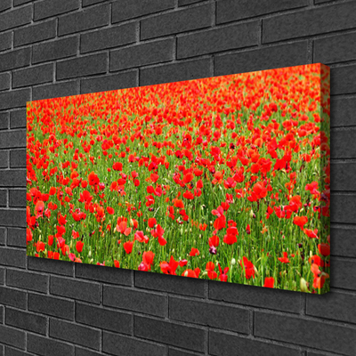 Leinwand-Bilder Mohnblumen Natur