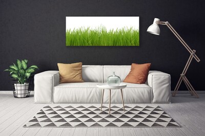 Leinwand-Bilder Gras Natur