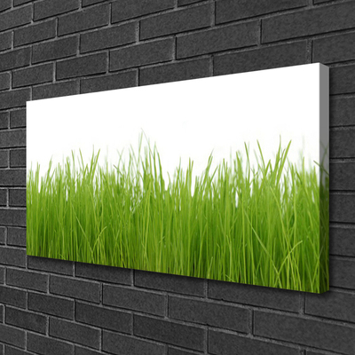 Leinwand-Bilder Gras Natur