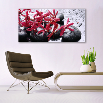 Leinwand-Bilder Blumen Steine Kunst