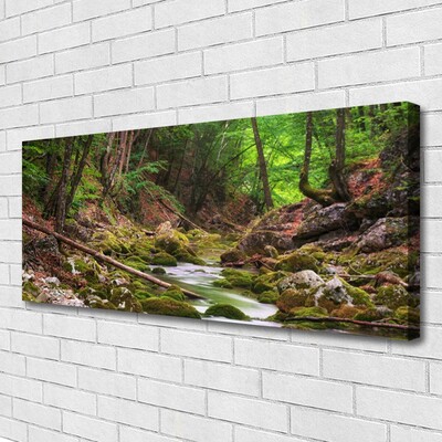 Leinwand-Bilder Wald Natur