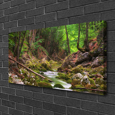 Leinwand-Bilder Wald Natur