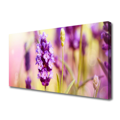 Leinwand-Bilder Blumen Pflanzen