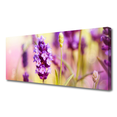 Leinwand-Bilder Blumen Pflanzen