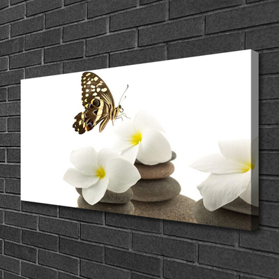 Leinwand-Bilder Schmetterling Blumen Steine Pflanzen
