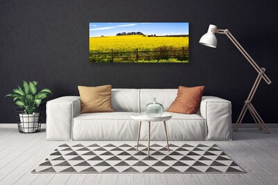 Leinwand-Bilder Acker Landschaft