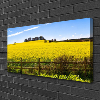 Leinwand-Bilder Acker Landschaft