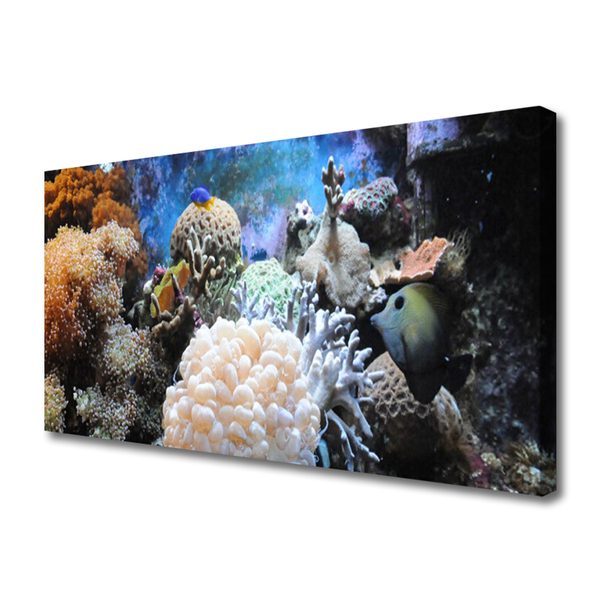 Leinwand-Bilder Korallenriff Natur