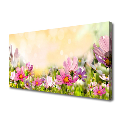 Leinwand-Bilder Blumen Natur