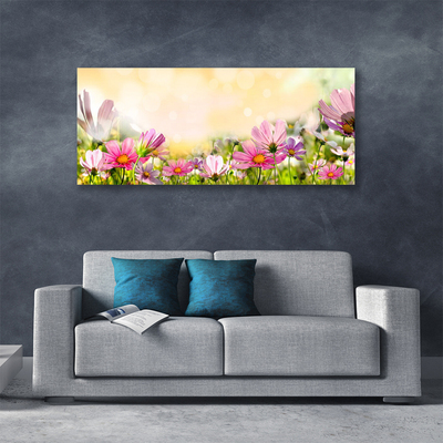 Leinwand-Bilder Blumen Natur