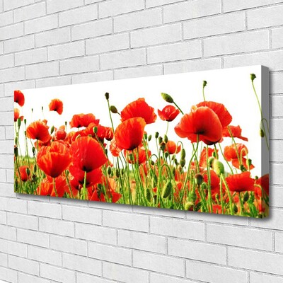 Leinwand-Bilder Mohnblumen Natur