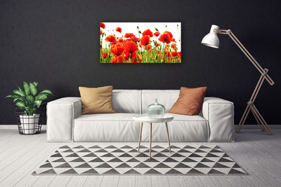 Leinwand-Bilder Mohnblumen Natur