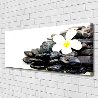 Leinwand-Bilder Blume Steine Kunst