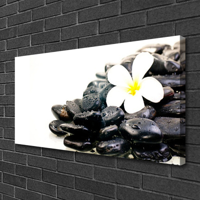 Leinwand-Bilder Blume Steine Kunst