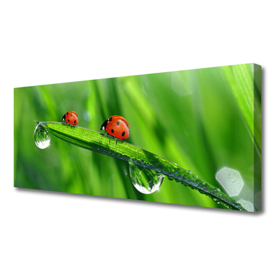 Leinwand-Bilder Marienkäfer Blatt Pflanzen