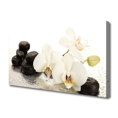 Leinwand-Bilder Blumen Steine Pflanzen
