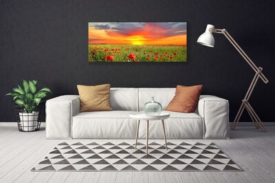 Leinwand-Bilder Mohnblumen Sonne Natur