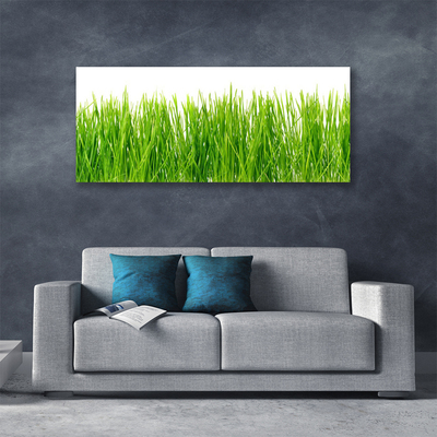 Leinwand-Bilder Gras Natur