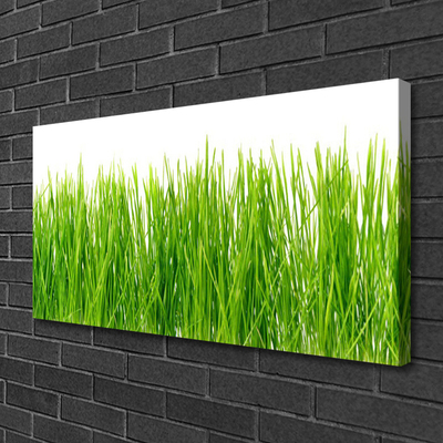 Leinwand-Bilder Gras Natur