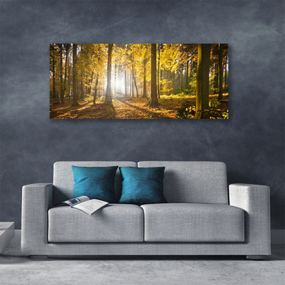 Leinwand-Bilder Wald Natur