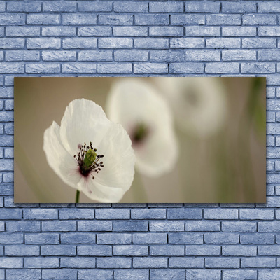 Leinwand-Bilder Blume Pflanzen