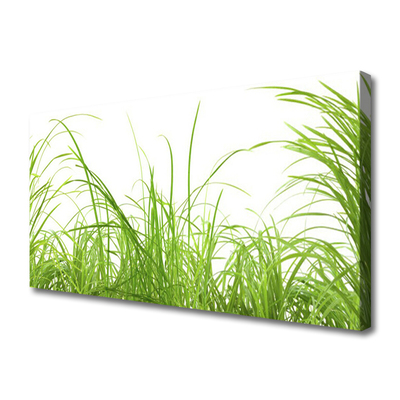 Leinwand-Bilder Gras Natur