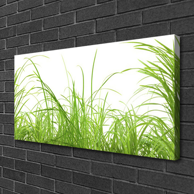 Leinwand-Bilder Gras Natur