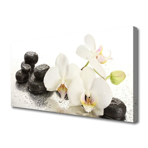 Leinwand-Bilder Blumen Steine Pflanzen