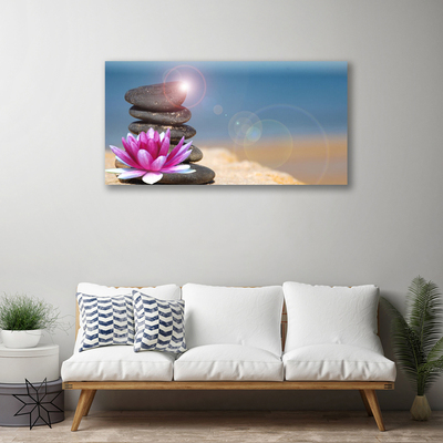 Leinwand-Bilder Steine Blume Kunst