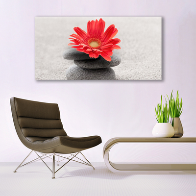 Leinwand-Bilder Blumen Steine Kunst