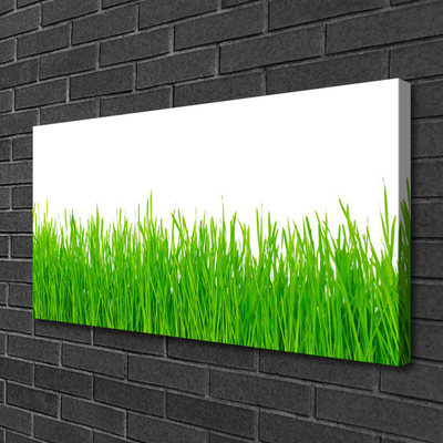 Leinwand-Bilder Gras Natur