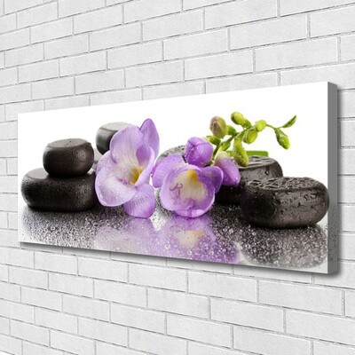 Leinwand-Bilder Blumen Steine Kunst