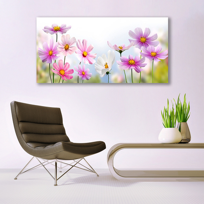 Leinwand-Bilder Blumen Pflanzen