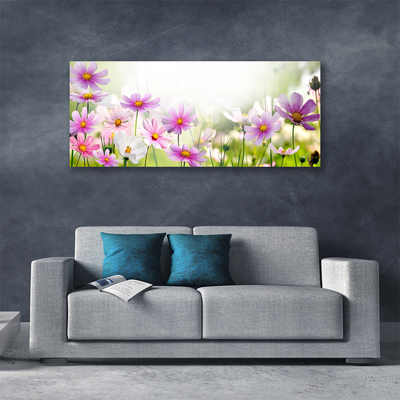 Leinwand-Bilder Blumen Pflanzen