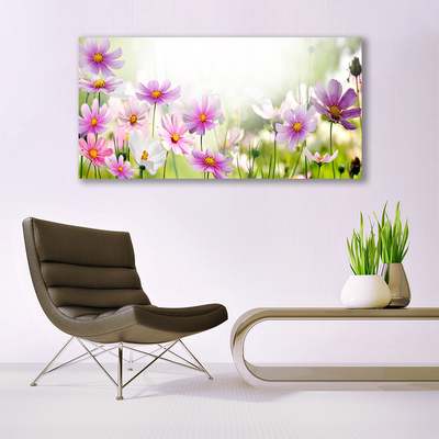 Leinwand-Bilder Blumen Pflanzen