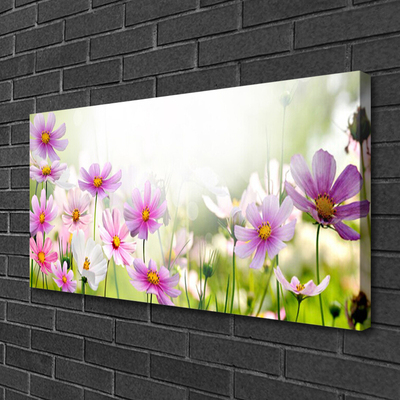 Leinwand-Bilder Blumen Pflanzen