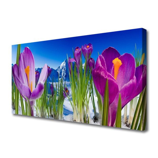 Leinwand-Bilder Blumen Pflanzen