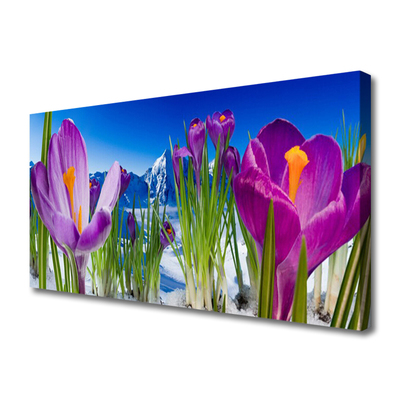 Leinwand-Bilder Blumen Pflanzen