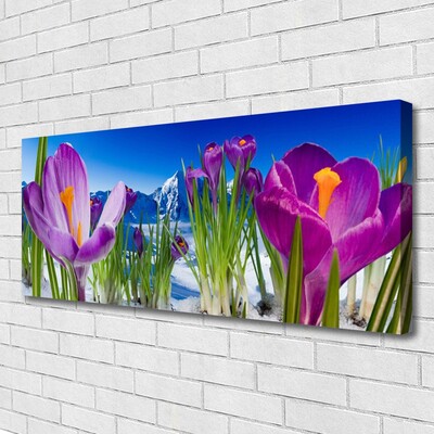 Leinwand-Bilder Blumen Pflanzen