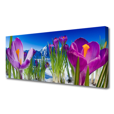 Leinwand-Bilder Blumen Pflanzen