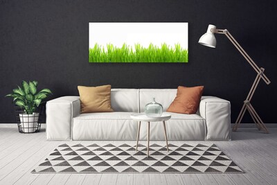 Leinwand-Bilder Gras Natur