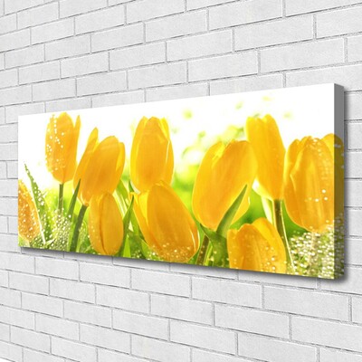 Leinwand-Bilder Tulpen Pflanzen