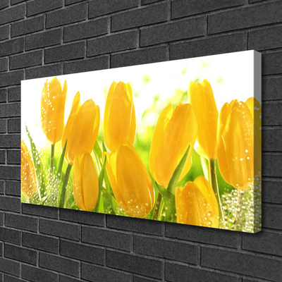 Leinwand-Bilder Tulpen Pflanzen