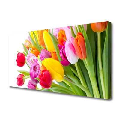 Leinwand-Bilder Tulpen Pflanzen