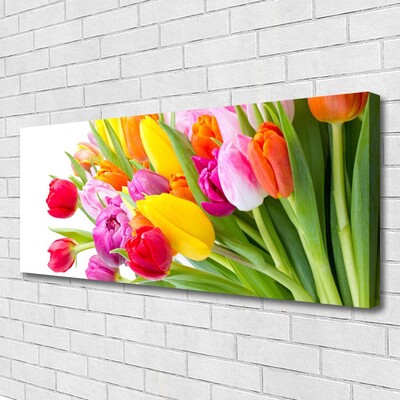 Leinwand-Bilder Tulpen Pflanzen