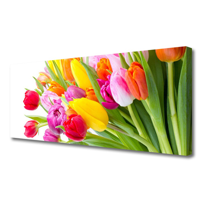 Leinwand-Bilder Tulpen Pflanzen