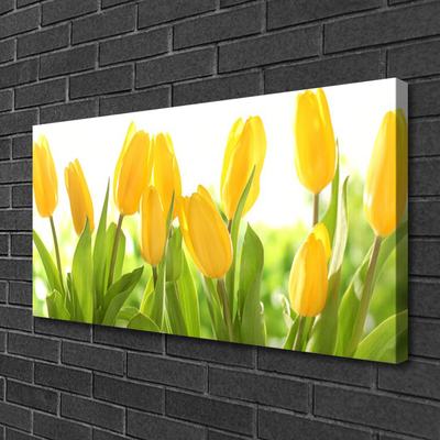 Leinwand-Bilder Tulpen Pflanzen